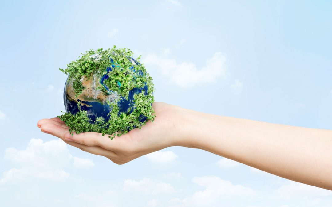 Ecosostenibile: consigli per un Mondo Green