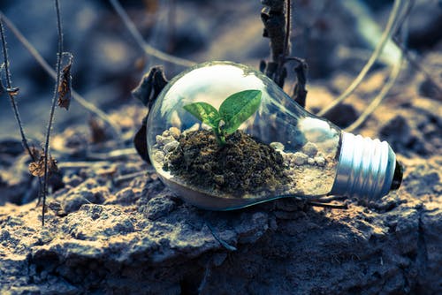 Raccolta Rifiuti 2019 | Quali sfide per la gestione rifiuti del futuro?