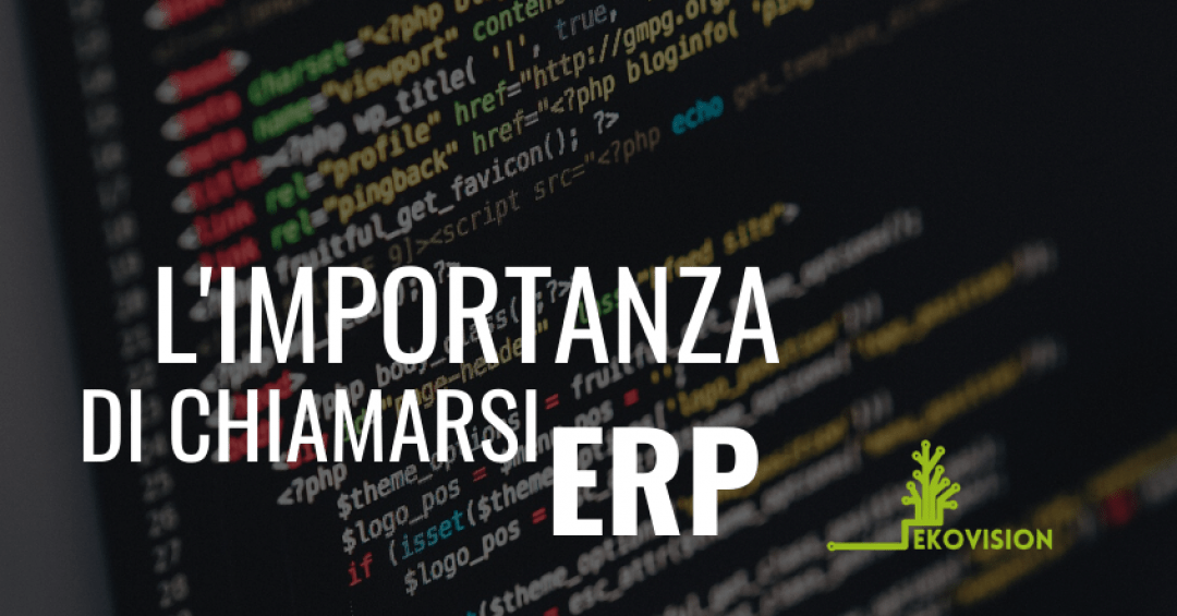 Cosa fare per adottare un software gestione rifiuti ERP?